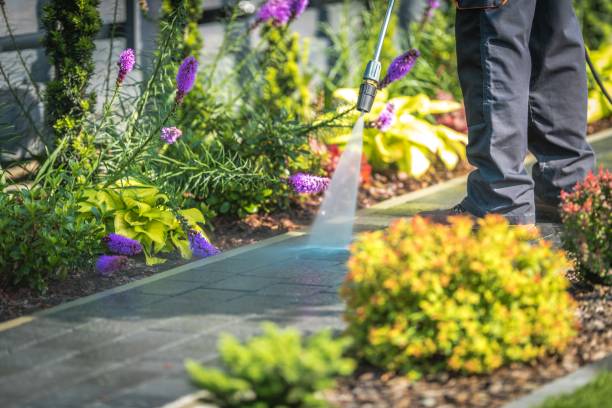 Best Gutter Cleaning  in Hammond, WI